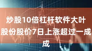 炒股10倍杠杆软件大叶股份股价7日上涨超过一成
