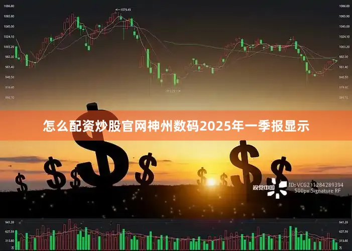 怎么配资炒股官网神州数码2025年一季报显示