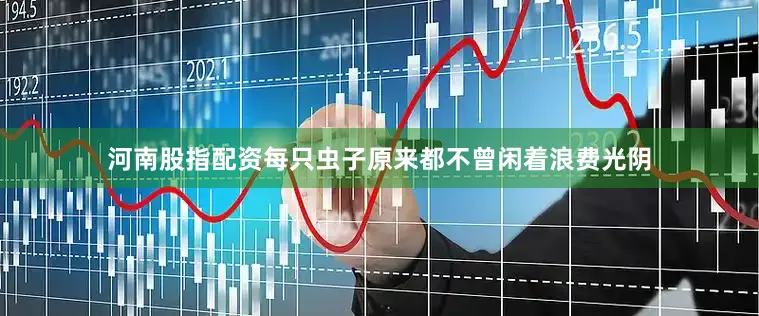 河南股指配资每只虫子原来都不曾闲着浪费光阴