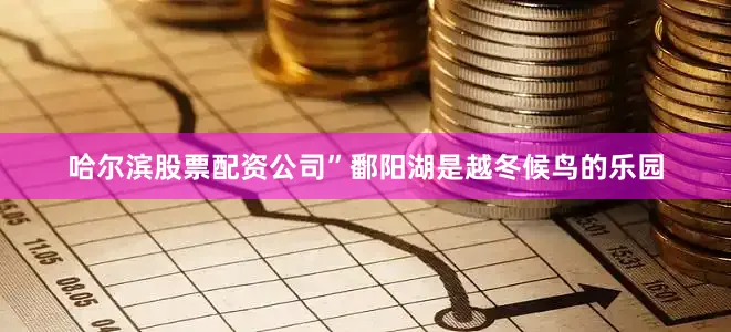 哈尔滨股票配资公司”鄱阳湖是越冬候鸟的乐园