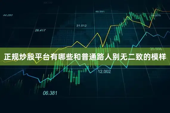 正规炒股平台有哪些和普通路人别无二致的模样