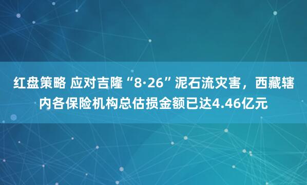 红盘策略 应对吉隆“8·26”泥石流灾害，西藏辖内各保险机构总估损金额已达4.46亿元